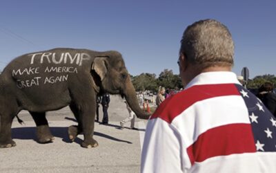 ПО УЛИЦАМ СЛОНА ВОДИЛИ…