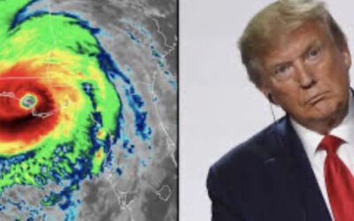 ВЕТЕР ПО МОРЮ ГУЛЯЕТ, ВИДИТ ТРАМПА – УБЕГАЕТ…