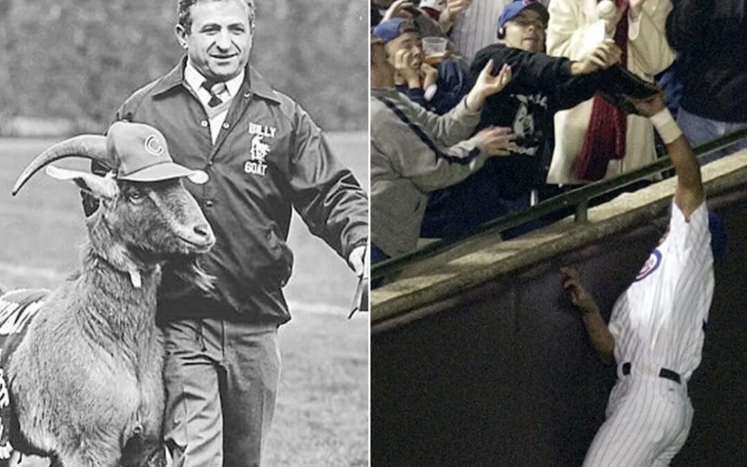 ЗА КОЗЛА ОТВЕТИМ?