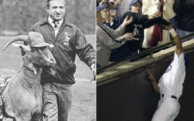 ЗА КОЗЛА ОТВЕТИМ?